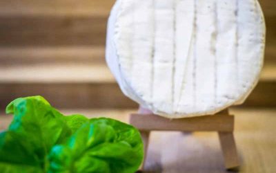 Camembert de chèvre